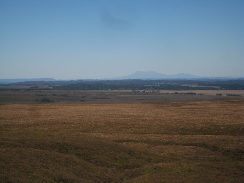 Mt Taranaki in the distance