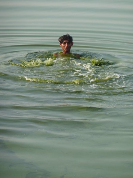 Crazy man swimming in holy lake in Ajmer