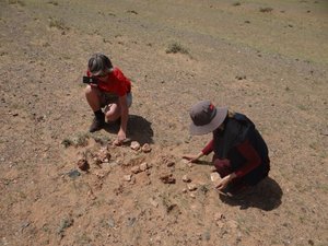 Linda and Chimeg looking for dinosaur fossils
