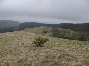 The steppe at Děvín hill.