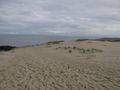 The dunes near Nida