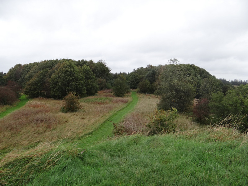 The surroundings of the Egtved mound