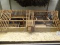Model of ahouse of the Vikings
