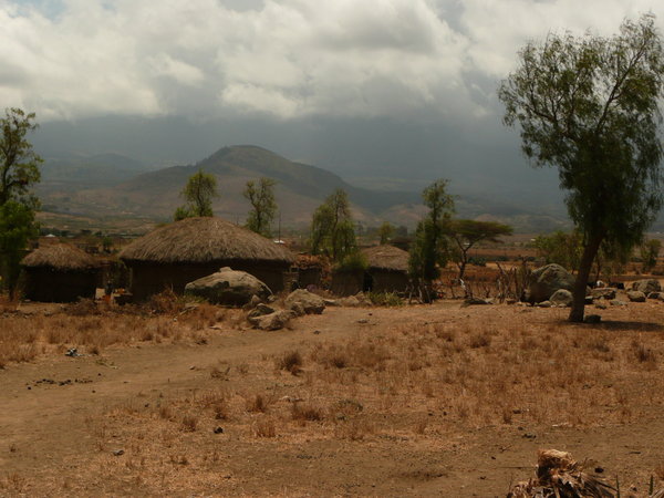 Masai huts