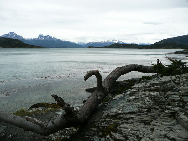 The coast of the Beagle channel