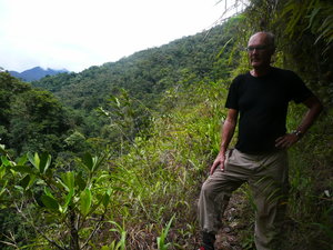 Walking in the jungle (HF)