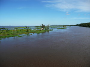 The Amazone