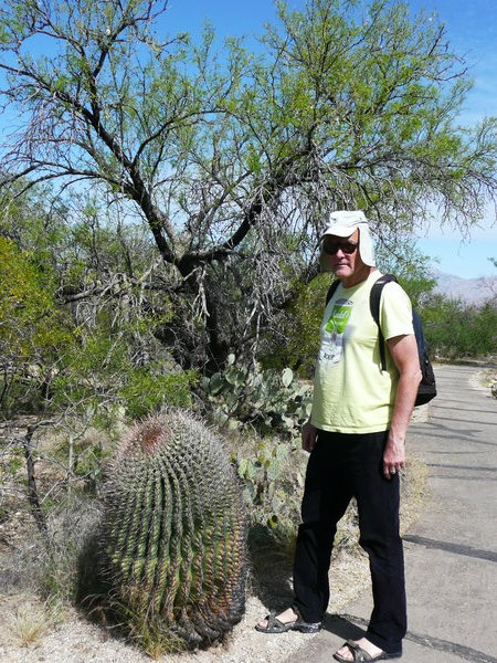 With a Desert Barrel Cactus