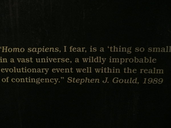 Stephen Gould wrote 'Wonderful World'.