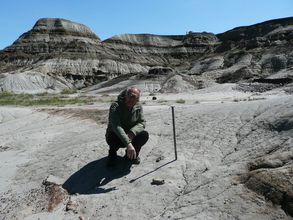 The spot where the Albertosaurus was found