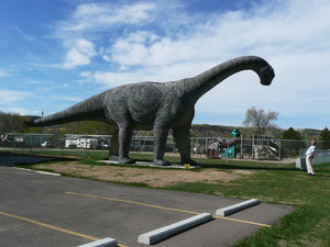 Quite big those Brontosaurs