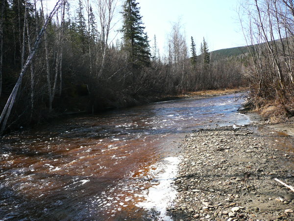 The discovery of gold at Bonanza Creek was the trigger for the goldrush.