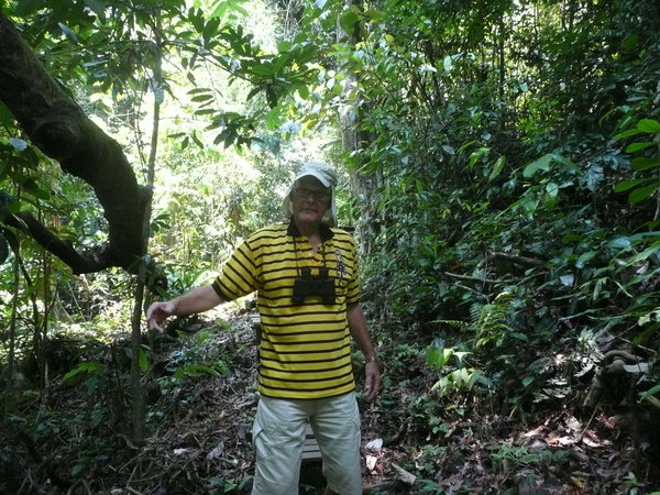In the jungle of Kubah National Park