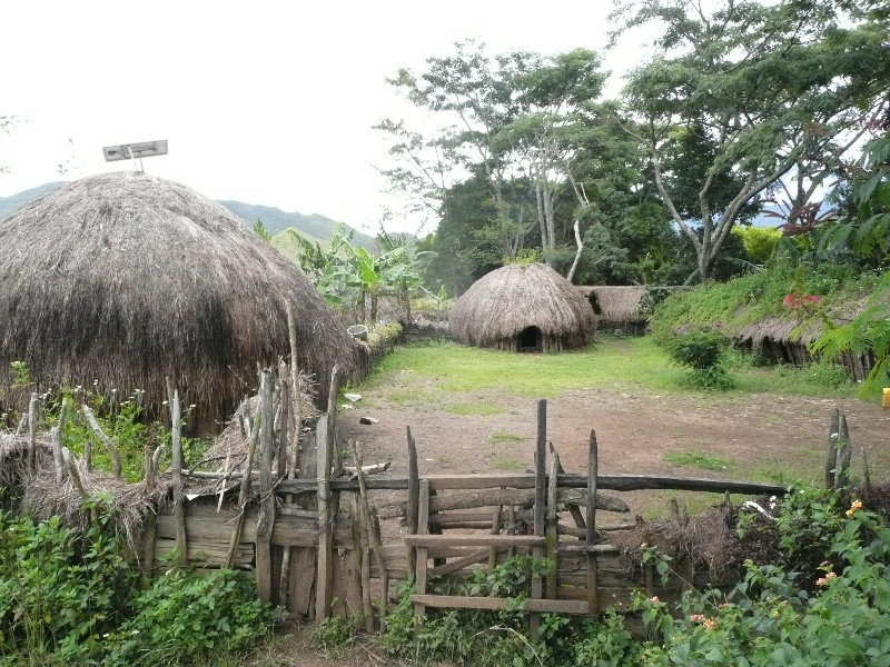 Honai, houses of the Dani