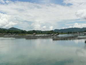 Lakeview Tentena
