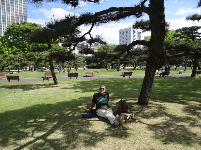 The outer gardens of the imperial palace (Marunouchi area, Tokyo)