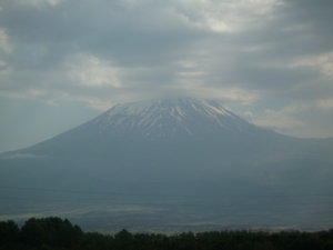 Mt Ararat