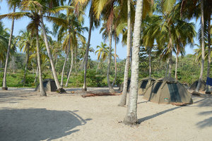 Tayrona N.P. Camp Tayrona N.P. Camp