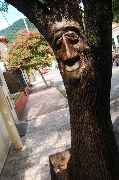 hey tree face!