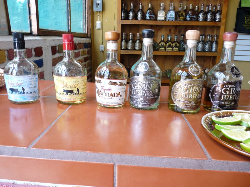 Tequilas de la Alborada/Tequilas from La Arborada