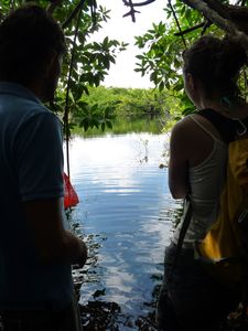 Cenote de Chaman/Chaman´s cenote