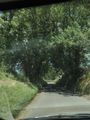 Typical country road in the Cotswolds
