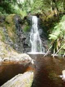 Waterfall  - Tasmania