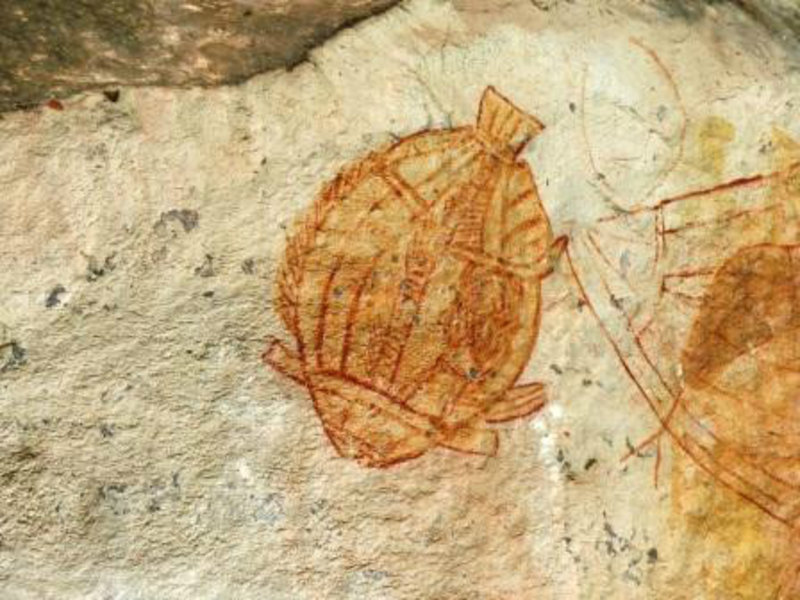 Aboroginal rock painting- hundreds of years old