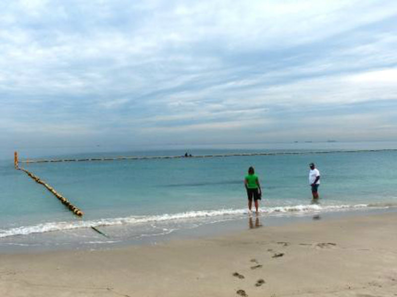 Shark net at Coogee beach Perth