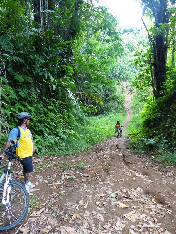 Cycling through Balinese jungle