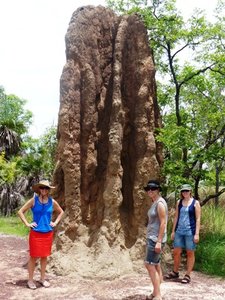Litchfield Park termite mound