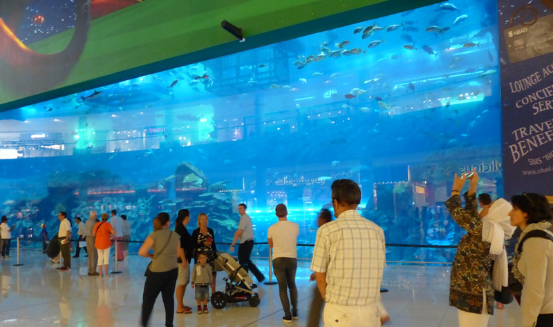Aquarium with sharks - Dubai Mall