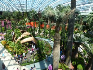 Gardens in the Bay - One of the indoor glass houses.