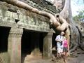 Even the roots were enormous - Angkor - Siam Reap - Cambodia