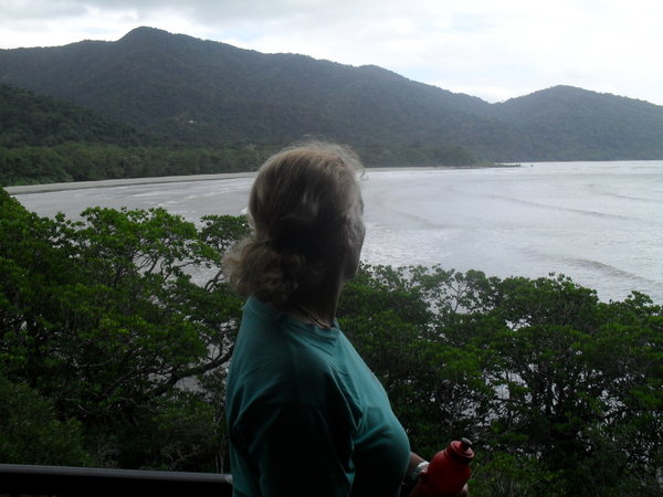 Looking North at Cape Tribulation