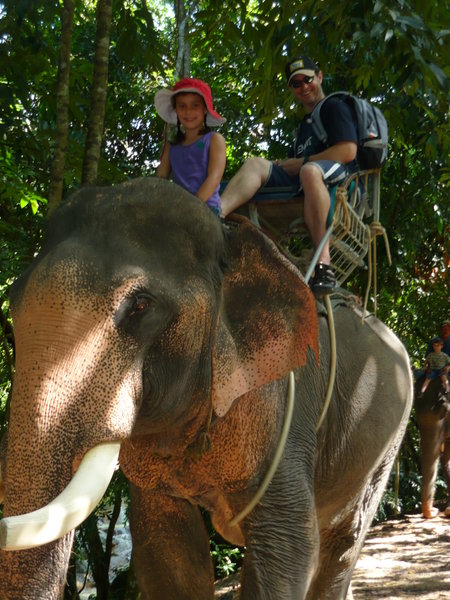 Elephant Trek