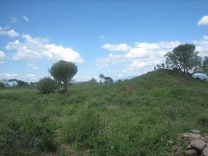 Masaii Land