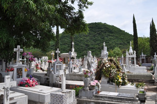 A beautiful graveyard.