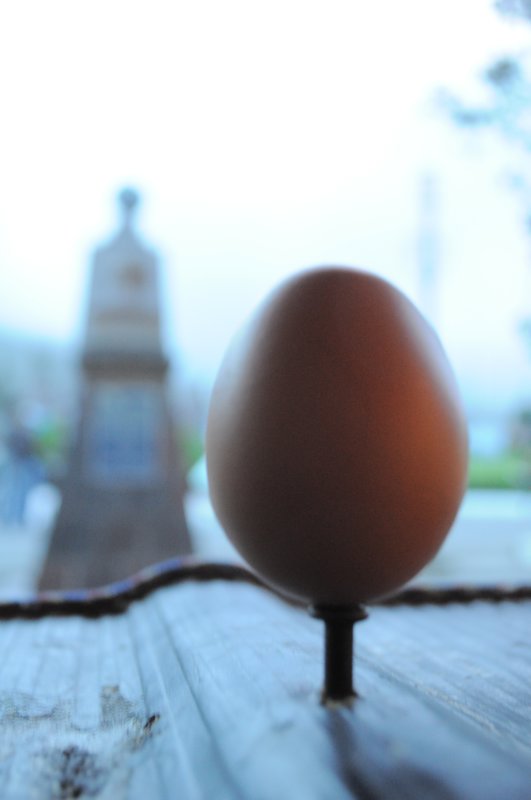 My well-trained egg. 