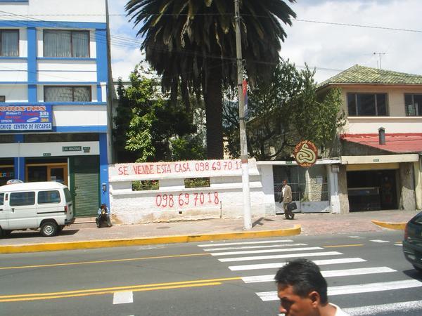 Estate agents in Ecuador