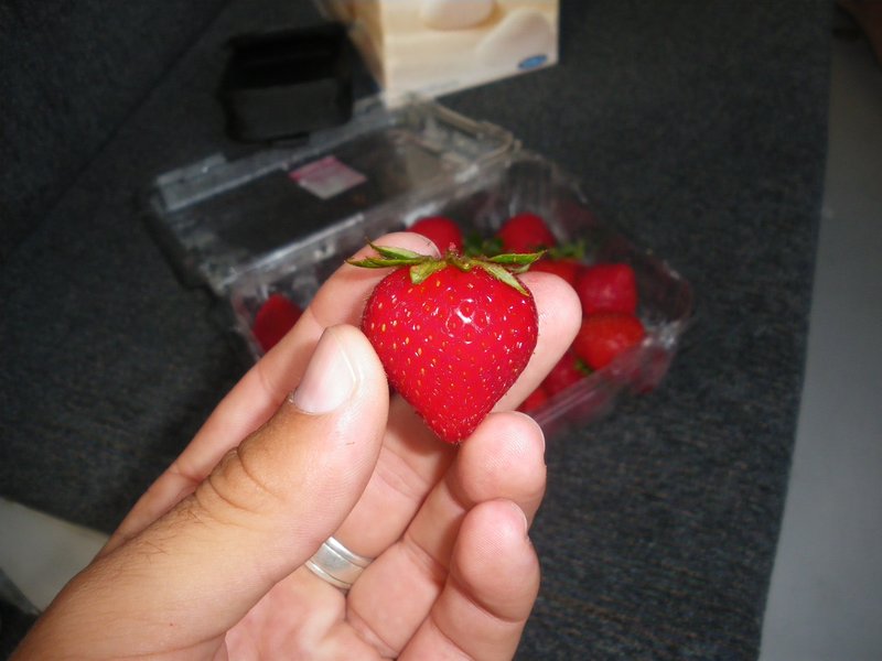 The perfect strawberry