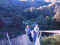 Swing bridge at Buller Gorge