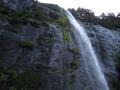 Stirling Falls (Milford Sound)