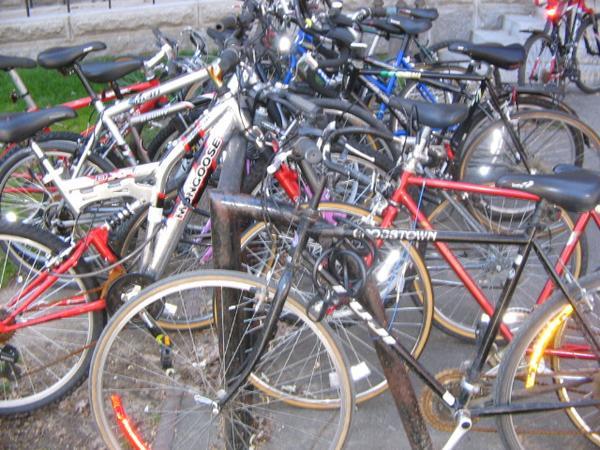 Harvard bicycles
