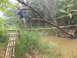Thinking about crossing the bamboo bridge