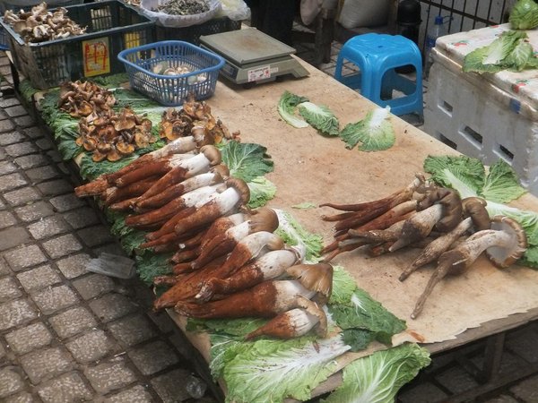 Cool mushrooms in Kunming neighborhood marker