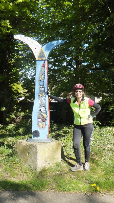 Fit cyclist posing by Sustrans route sign