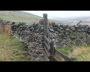 Dry stone walls in the Morfoot Hills