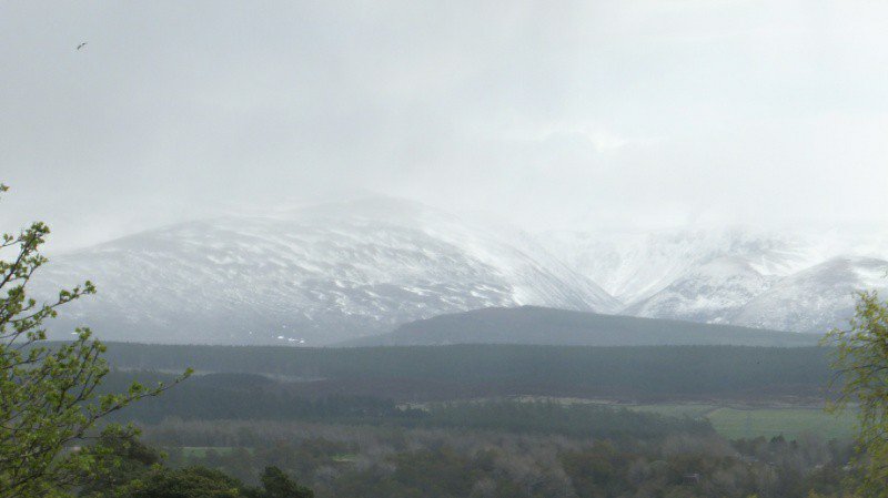 Snow in the Monaliadth Mountains