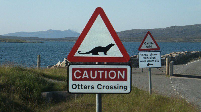 Warning sign on interisland causeway (Berneray)